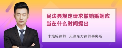 民法典规定请求撤销婚姻应当在什么时间提出