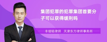 集团犯罪的犯罪集团首要分子可以获得缓刑吗