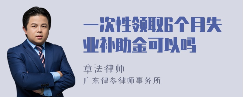 一次性领取6个月失业补助金可以吗