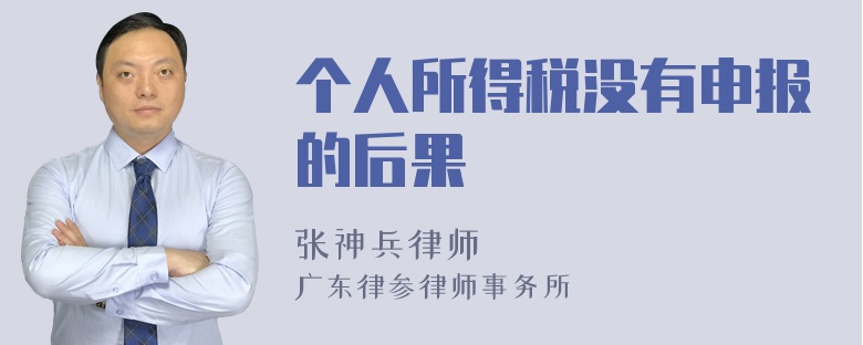 个人所得税没有申报的后果