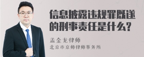 信息披露违规罪既遂的刑事责任是什么?