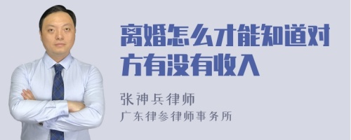 离婚怎么才能知道对方有没有收入