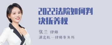 2022法院如何判决抚养权