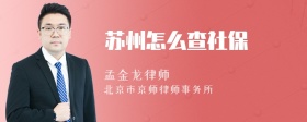 苏州怎么查社保