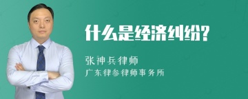 什么是经济纠纷?