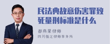 民法典故意伤害罪致死量刑标准是什么