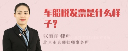 车船税发票是什么样子？