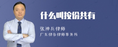 什么叫按份共有