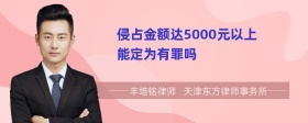 侵占金额达5000元以上能定为有罪吗