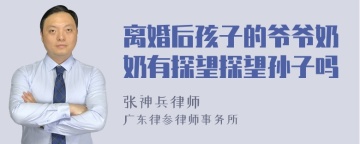 离婚后孩子的爷爷奶奶有探望探望孙子吗