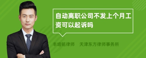 自动离职公司不发上个月工资可以起诉吗