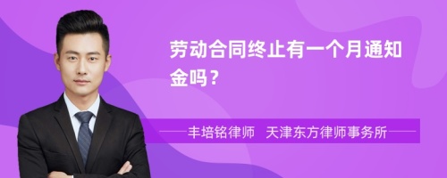 劳动合同终止有一个月通知金吗？