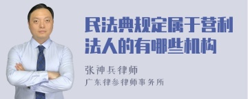 民法典规定属于营利法人的有哪些机构