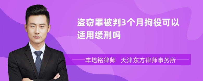 盗窃罪被判3个月拘役可以适用缓刑吗