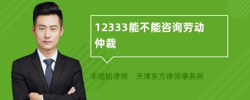 12333能不能咨询劳动仲裁