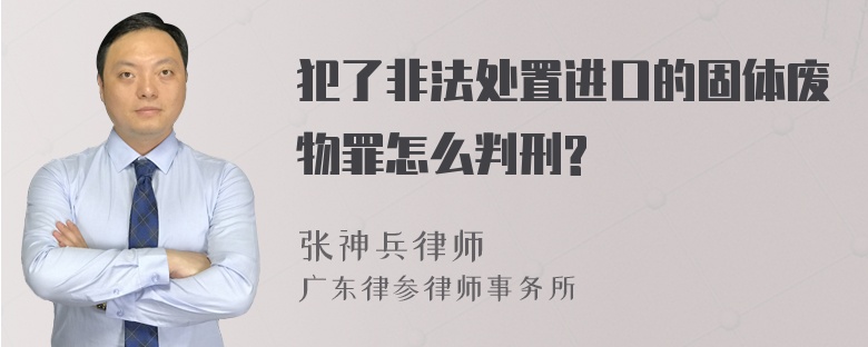 犯了非法处置进口的固体废物罪怎么判刑?