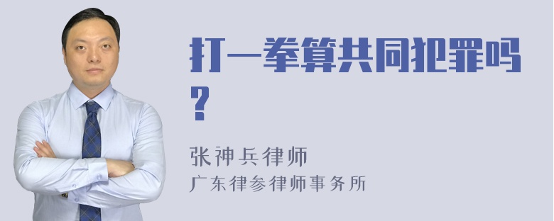 打一拳算共同犯罪吗?