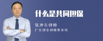 什么是共同担保