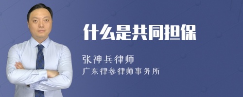 什么是共同担保