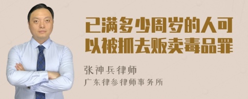 已满多少周岁的人可以被抓去贩卖毒品罪