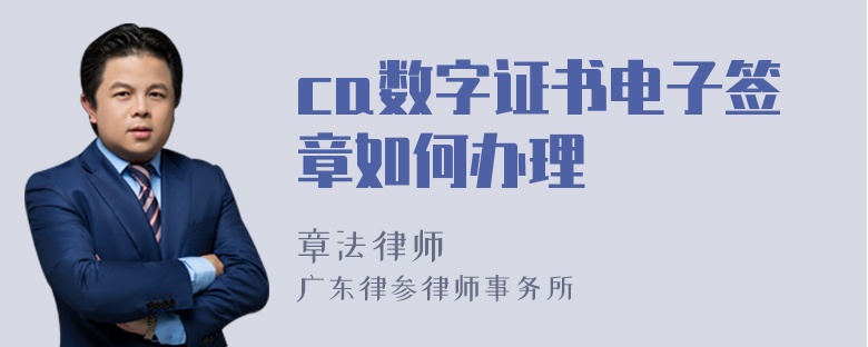 ca数字证书电子签章如何办理