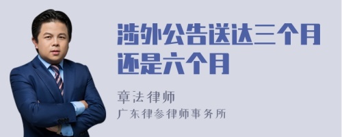 涉外公告送达三个月还是六个月