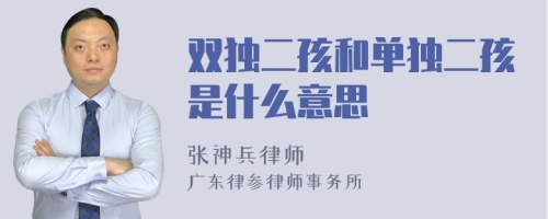 双独二孩和单独二孩是什么意思