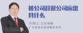 被公司辞退公司应出具什么