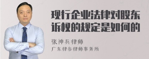 现行企业法律对股东诉权的规定是如何的