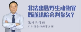 非法出售野生动物罪既遂法院会判多久?