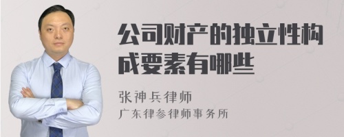 公司财产的独立性构成要素有哪些