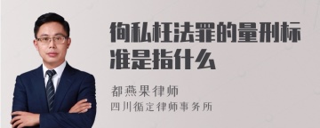 徇私枉法罪的量刑标准是指什么