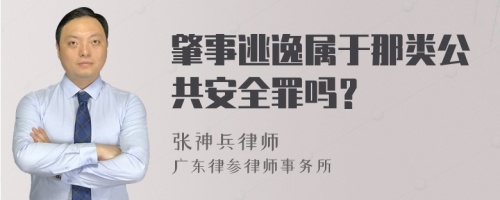 肇事逃逸属于那类公共安全罪吗？