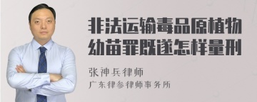 非法运输毒品原植物幼苗罪既遂怎样量刑