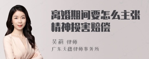 离婚期间要怎么主张精神损害赔偿