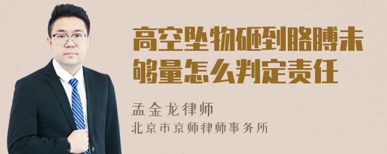 高空坠物砸到胳膊未够量怎么判定责任