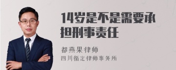 14岁是不是需要承担刑事责任