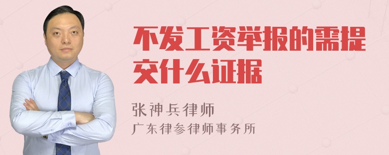 不发工资举报的需提交什么证据