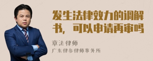 发生法律效力的调解书，可以申请再审吗