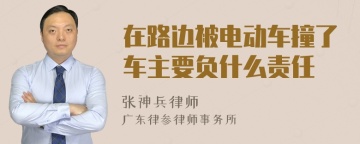 在路边被电动车撞了车主要负什么责任