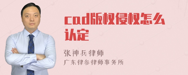 cad版权侵权怎么认定