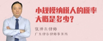 小规模纳税人的税率大概是多少？