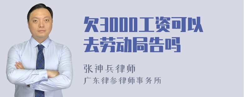 欠3000工资可以去劳动局告吗