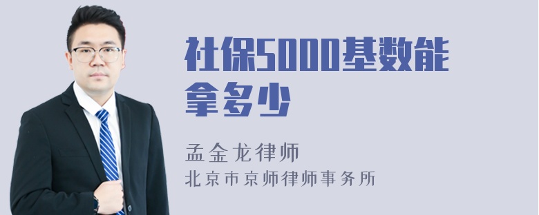 社保5000基数能拿多少