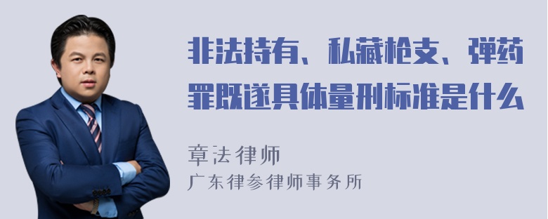 非法持有、私藏枪支、弹药罪既遂具体量刑标准是什么