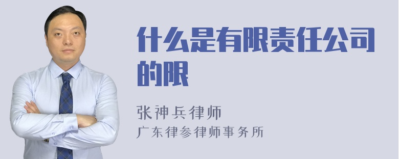 什么是有限责任公司的限