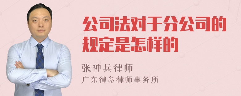 公司法对于分公司的规定是怎样的