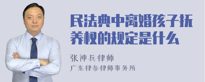 民法典中离婚孩子抚养权的规定是什么