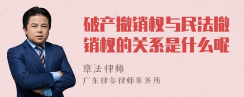 破产撤销权与民法撤销权的关系是什么呢