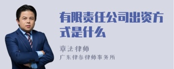 有限责任公司出资方式是什么